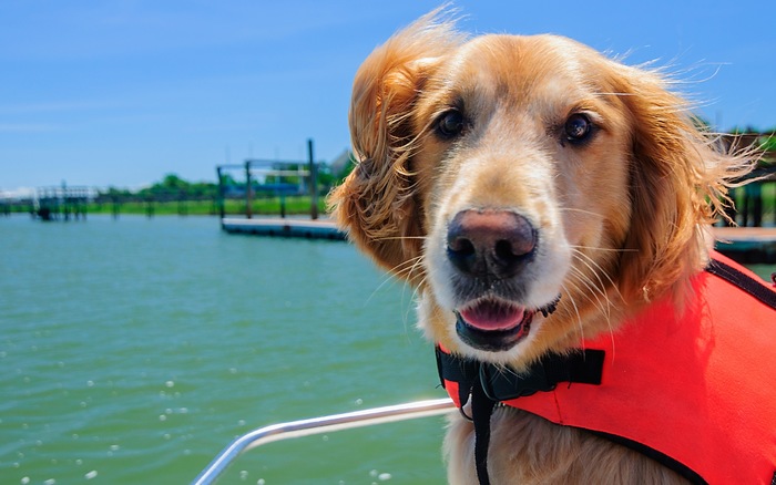 Essentials for Throwing A Lake Party 