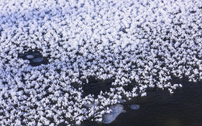 How are Ice Flowers Formed in the Great Lakes?  