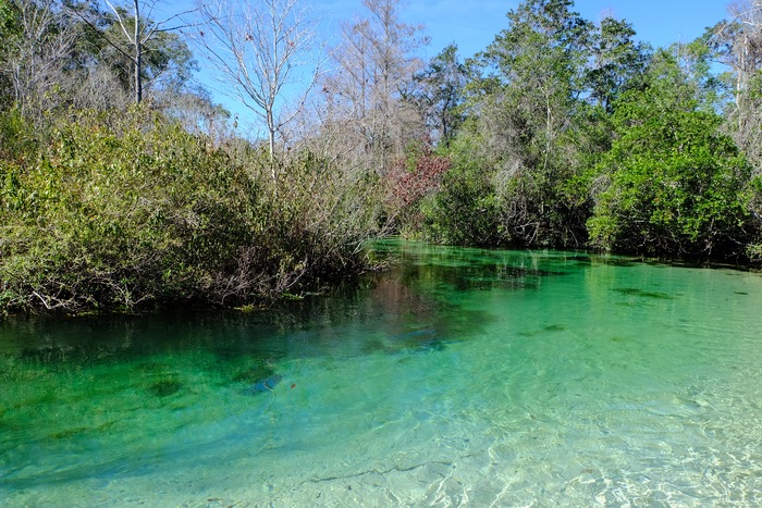 A Weeki Wachee Winter