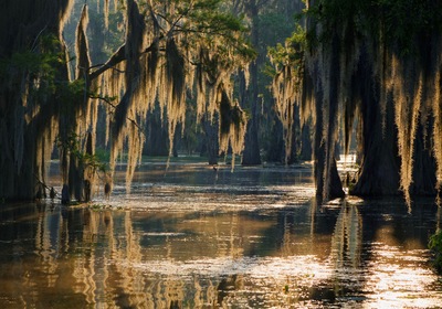 Our Guide to Boating the Bayou