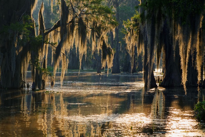 Our Guide to Boating the Bayou