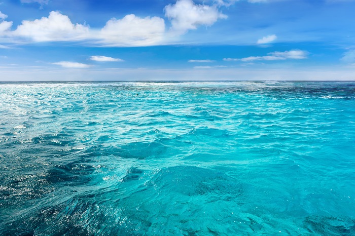 Saltwater Saltwater